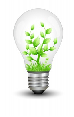 Environment A picture of a lightbulb with a green plant inside it